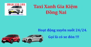 taxi xanh gia kiệm